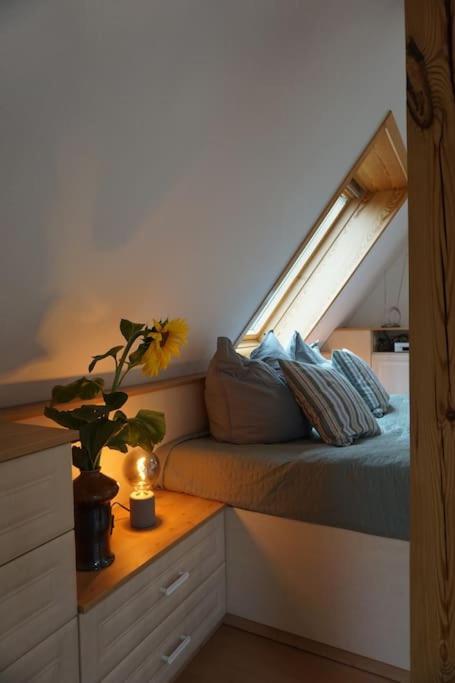 Apartment Mit Ausblick Im Dresdner Suedwesten Dresden Dış mekan fotoğraf