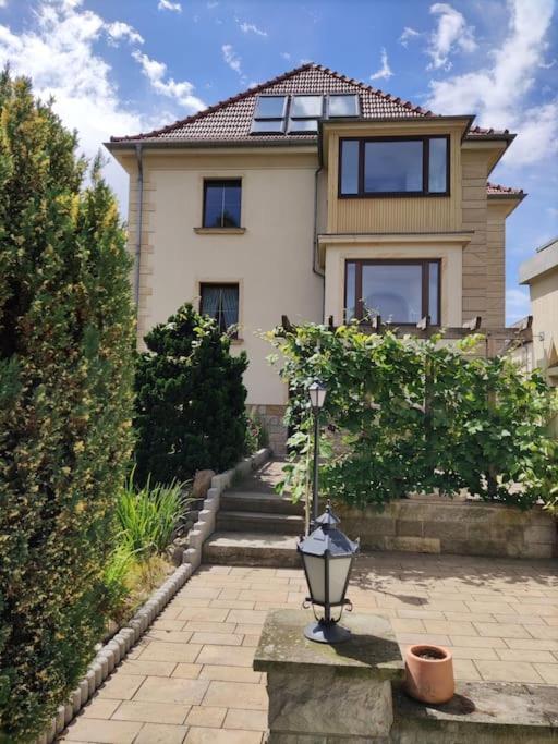 Apartment Mit Ausblick Im Dresdner Suedwesten Dresden Dış mekan fotoğraf